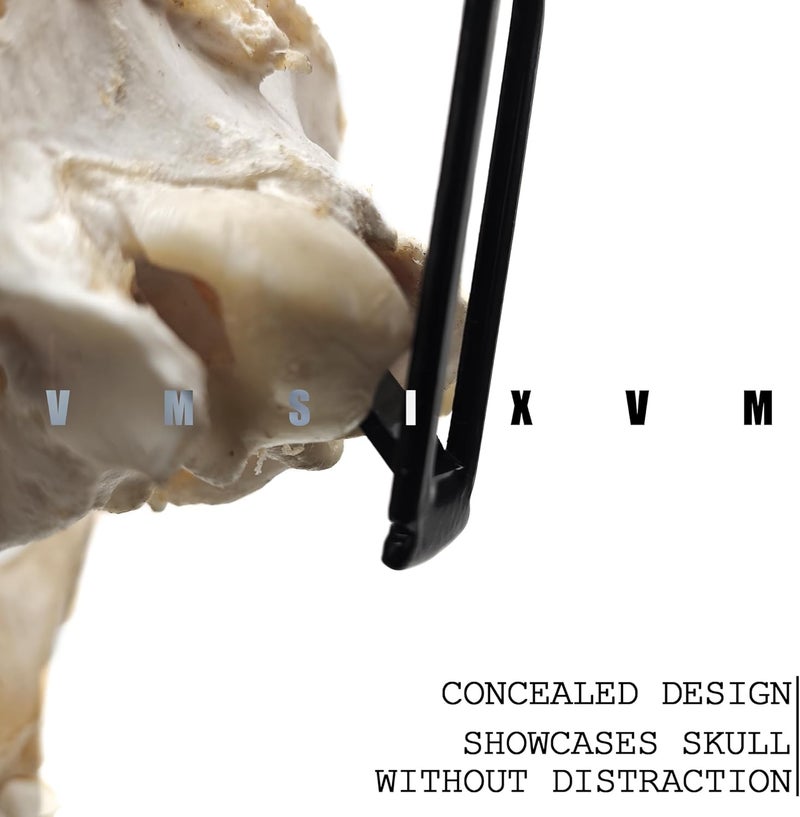 VMSIXVM European Deer Skull Mount Hanger, Euro Wall Mount Hanger for Deer Head and Other Smaller Animals, Skull Wall Hooker with Easy Install Kit for Indoor Outdoor - Image 5